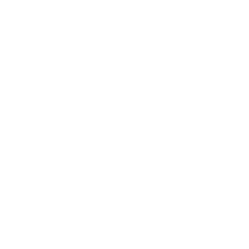Le petit logo Discord